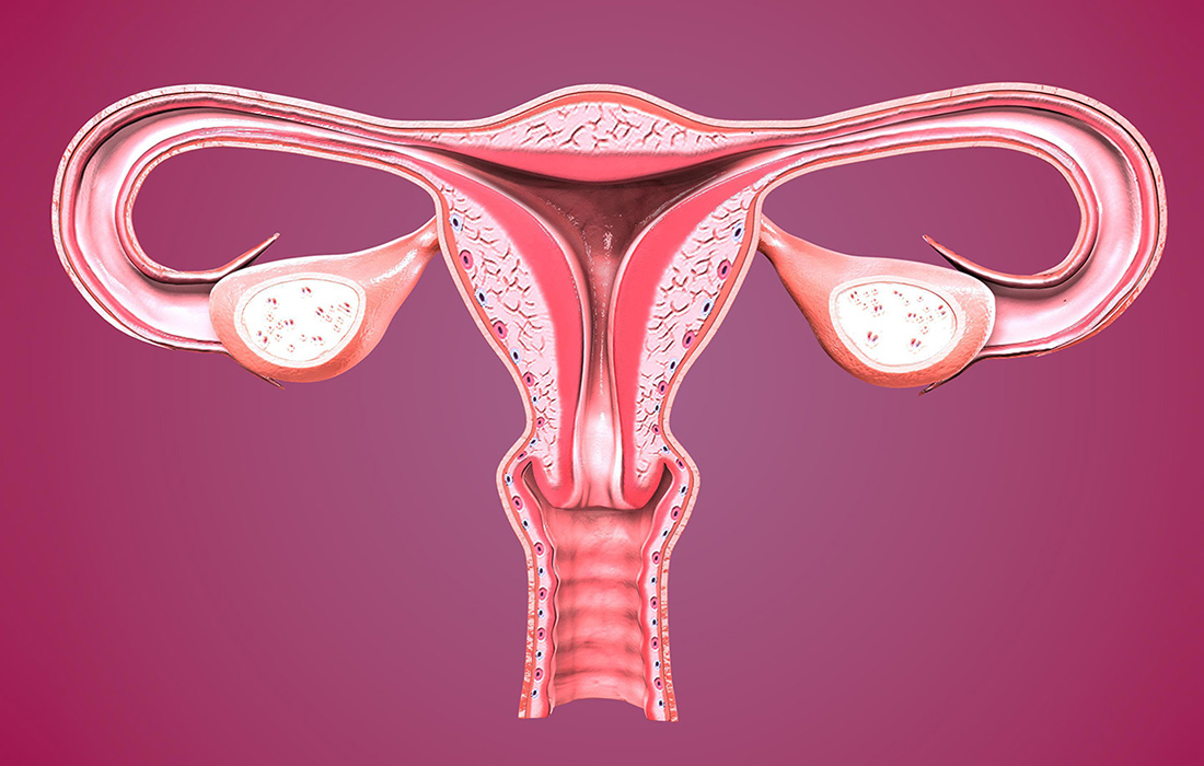 Endometrium Hazırlama