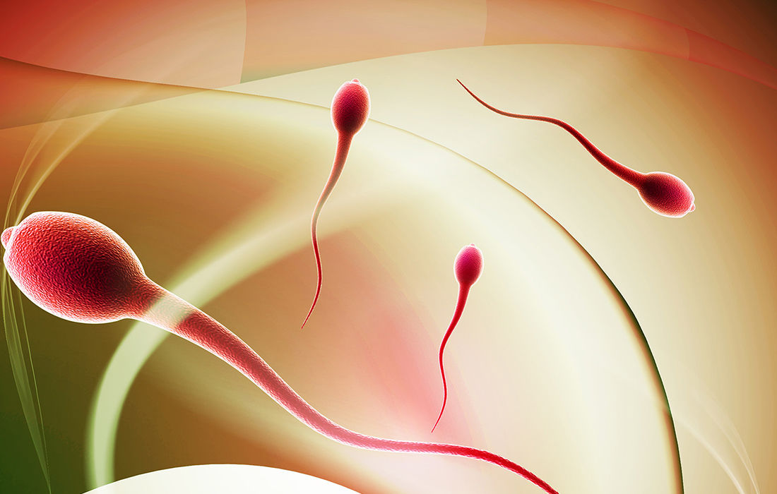 Sperm Ayıklama Teknikleri